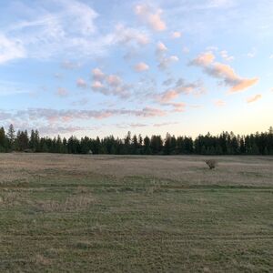 Gallery Photo 12