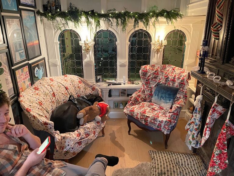 Winston enjoying Mikey's Christmas decorations in the library
