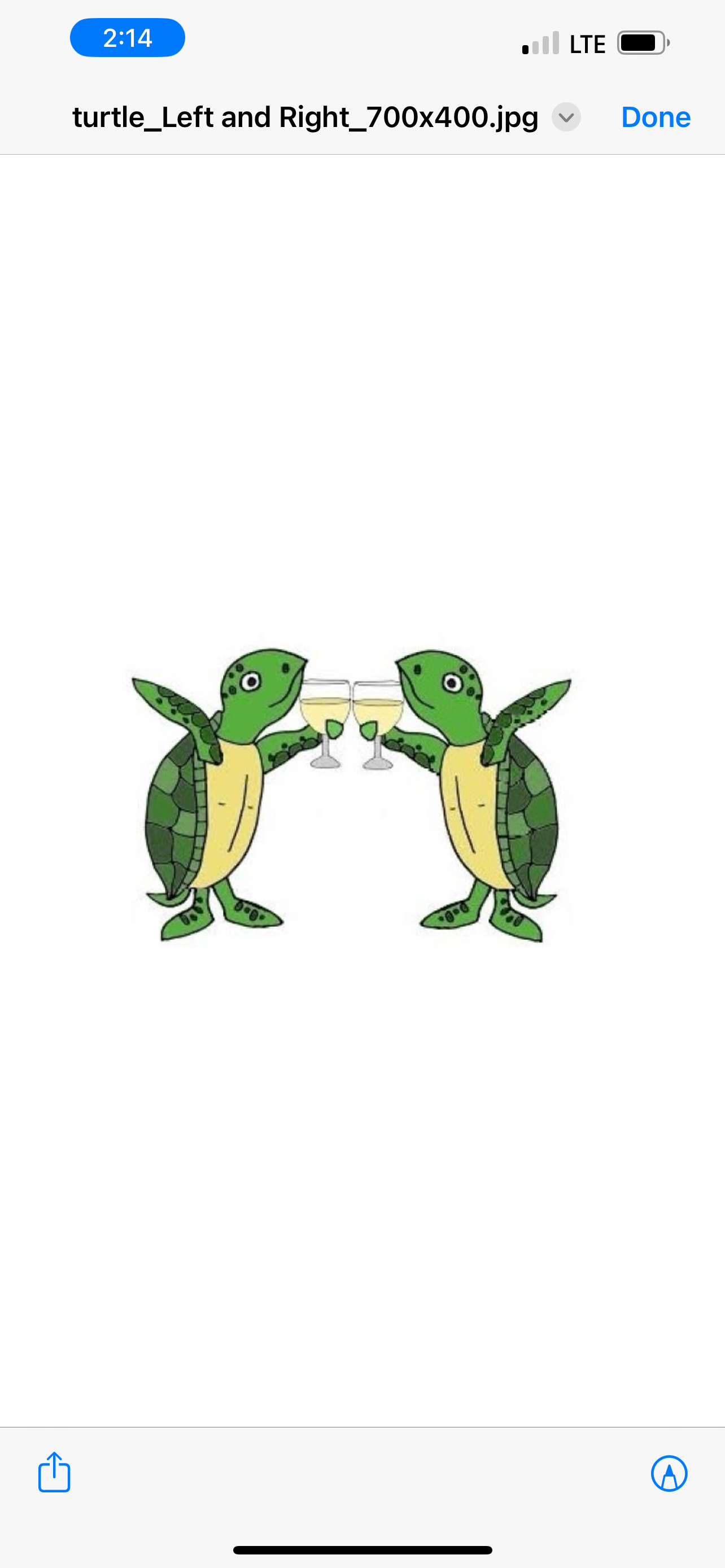 Two Typsy Turtles, LLC + Updated Prices - The Knot