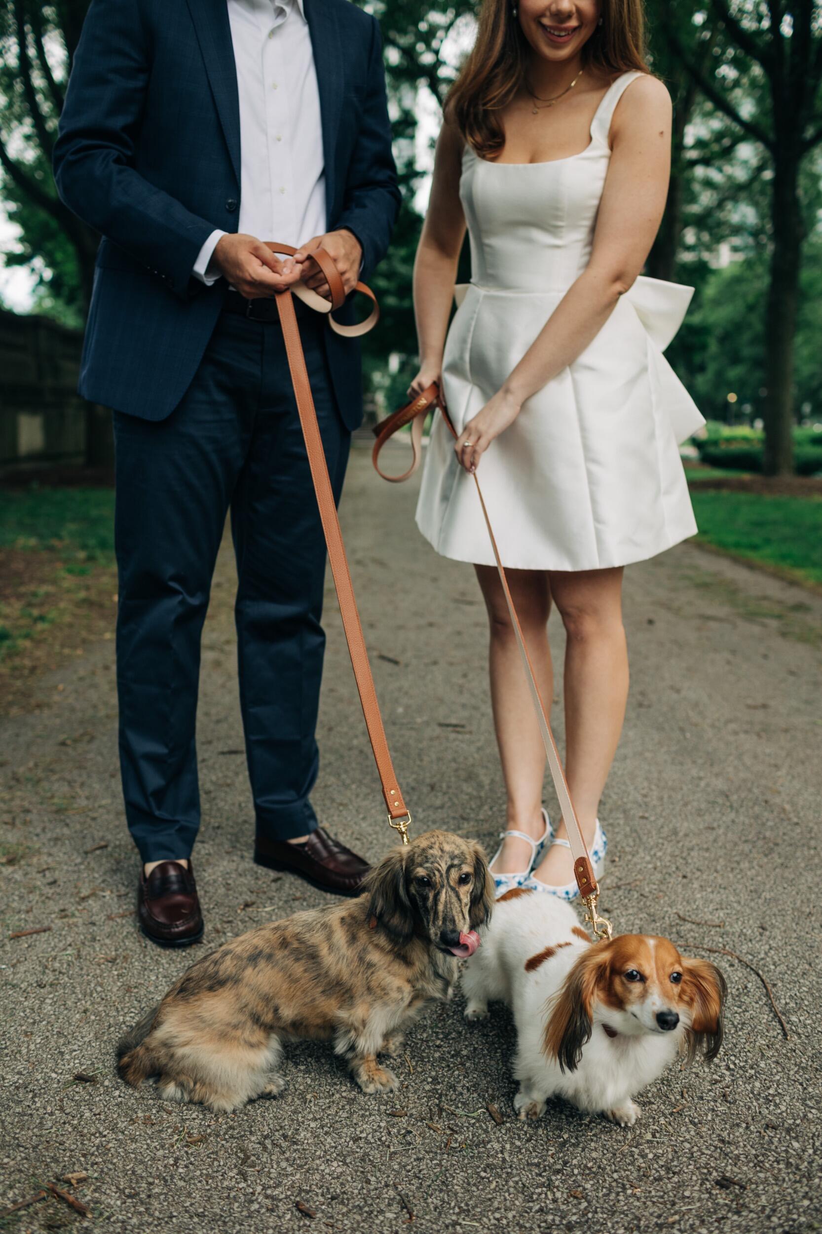 Engagement photos in the city with the weenies <3