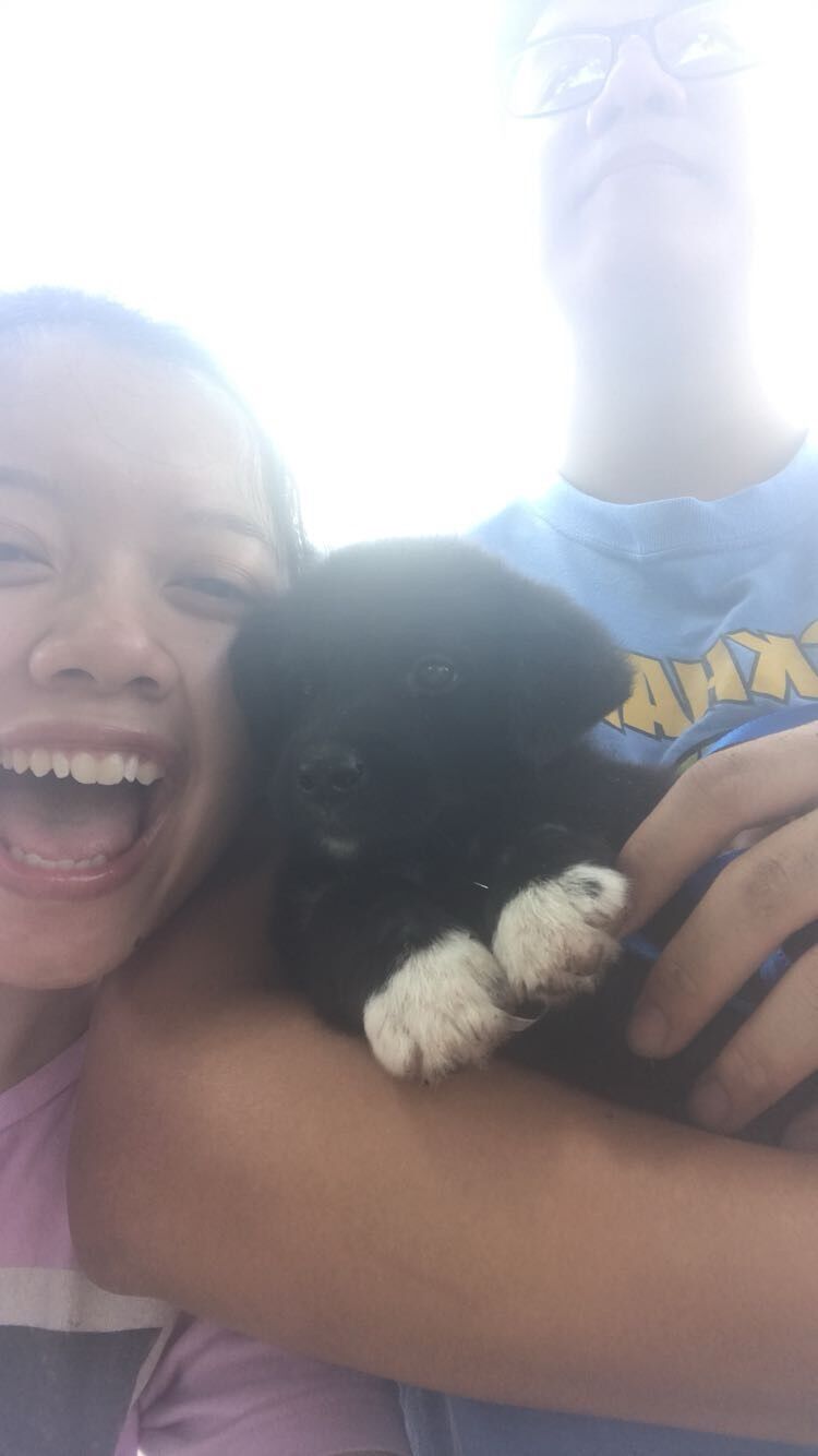 Became dog parents to Alfred