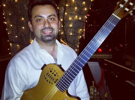 Bouzouki Dave  - Guitarist - Sedona, AZ - Hero Gallery 3