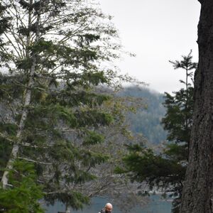 Gallery Photo 22
