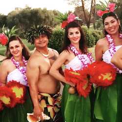 Aloha Polynesia! Hawaiian Band & Dancers., profile image