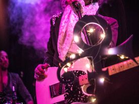 Purple Mane - Prince Tribute Act - Seattle, WA - Hero Gallery 2