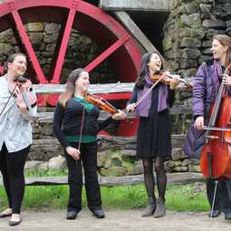 Blackstone Valley String Quartet, profile image