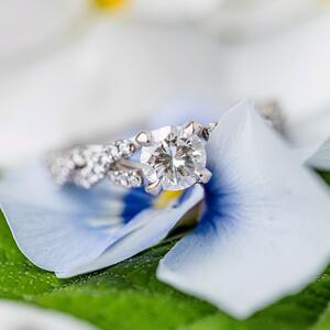Gallery Photo 157