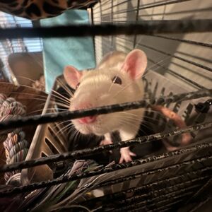 Gallery Photo 24