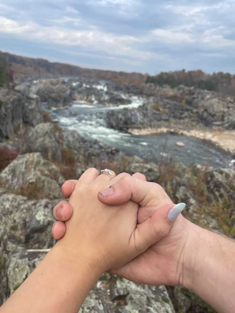 The Proposal