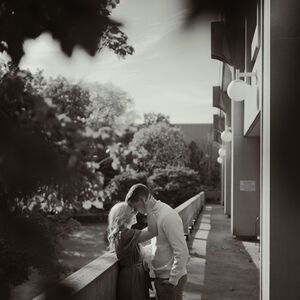Gallery Photo 32