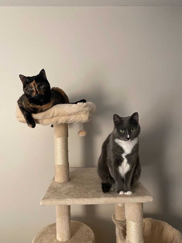Our girls! 