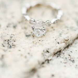 Gallery Photo 38