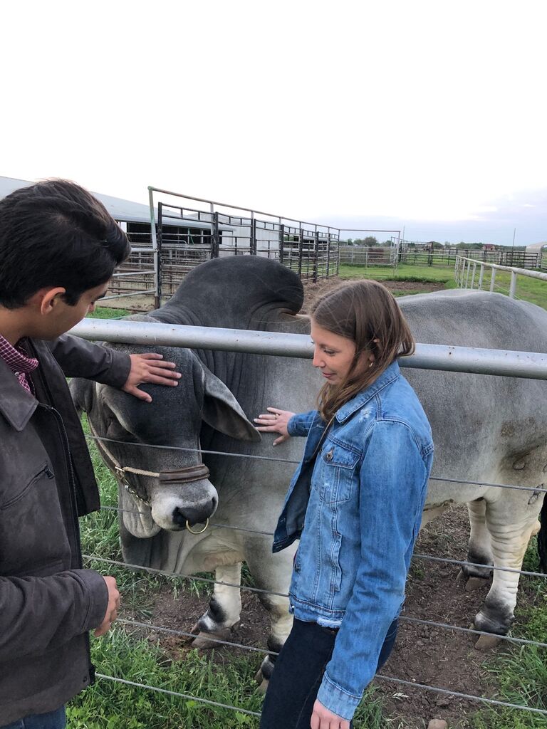 I met Erin's parents for the first time at their ranch in Hungerford, TX.

At first I was afraid I wouldn't fit in since I didn't grew up in agriculture. However, I made a good impression to her parents since I didn't wear a plaid shirt and a cowboy hat! Or maybe they saw she was happy, who knows?