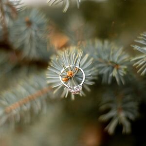 Gallery Photo 21