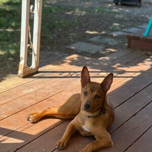 Gallery Photo 24