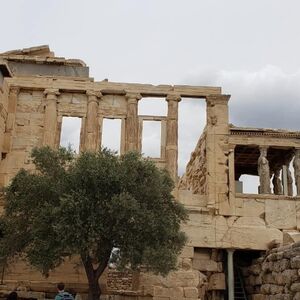 Gallery Photo 19