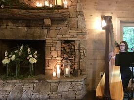 Harpist Alyson Webber - Harpist - Gainesville, GA - Hero Gallery 1