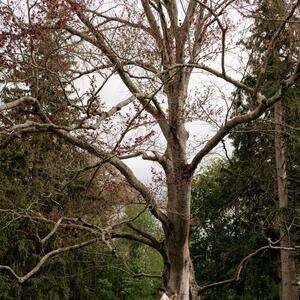 Gallery Photo 41