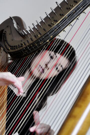 Kimberly Mueller Palazzolo - Harpist - North Liberty, IA - Hero Main