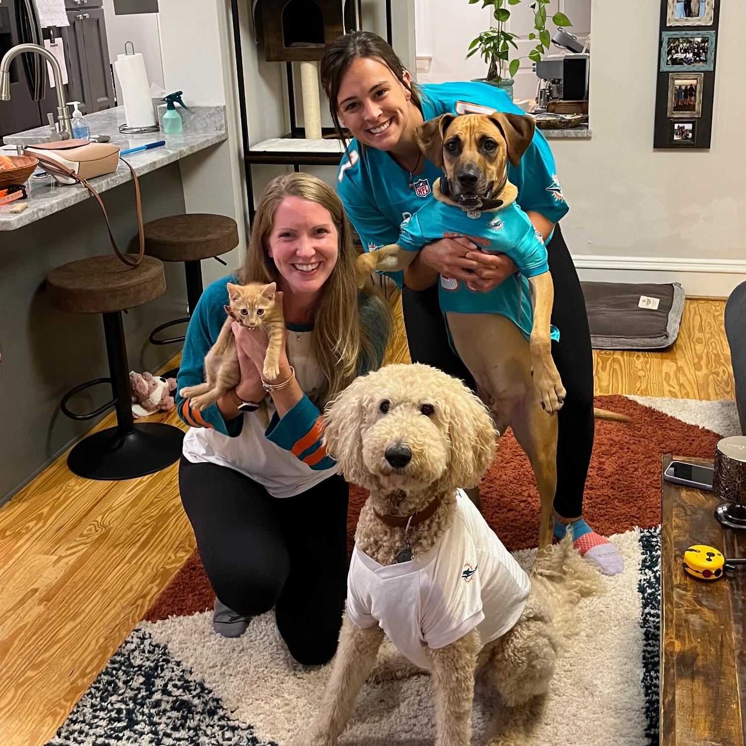 Maverick needed a wingman. We became a family of 5 adding little baby Goose, an orange tabby cat into our jubilant home. #godolphins