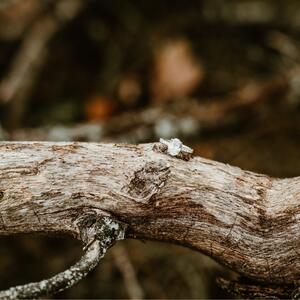 Gallery Photo 37