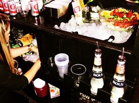 BARMASTERS Mobile Bartending / Catering - Bartender - Melbourne, FL - Hero Gallery 3