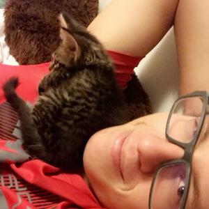 Gallery Photo 7