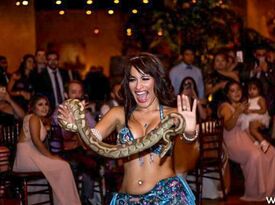 Haydee - Belly Dancer - Belly Dancer - Houston, TX - Hero Gallery 2