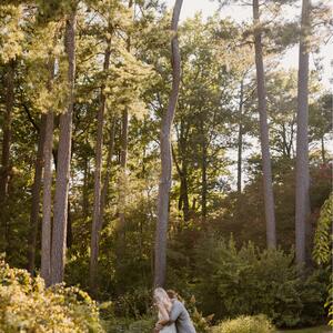 Gallery Photo 19