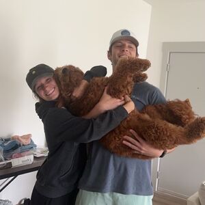 Gallery Photo 26
