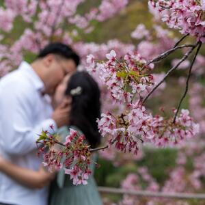 Gallery Photo 23