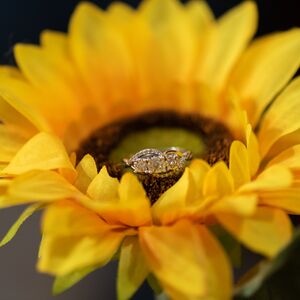 Gallery Photo 31