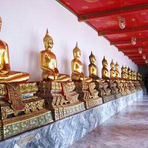 Gallery Photo 11