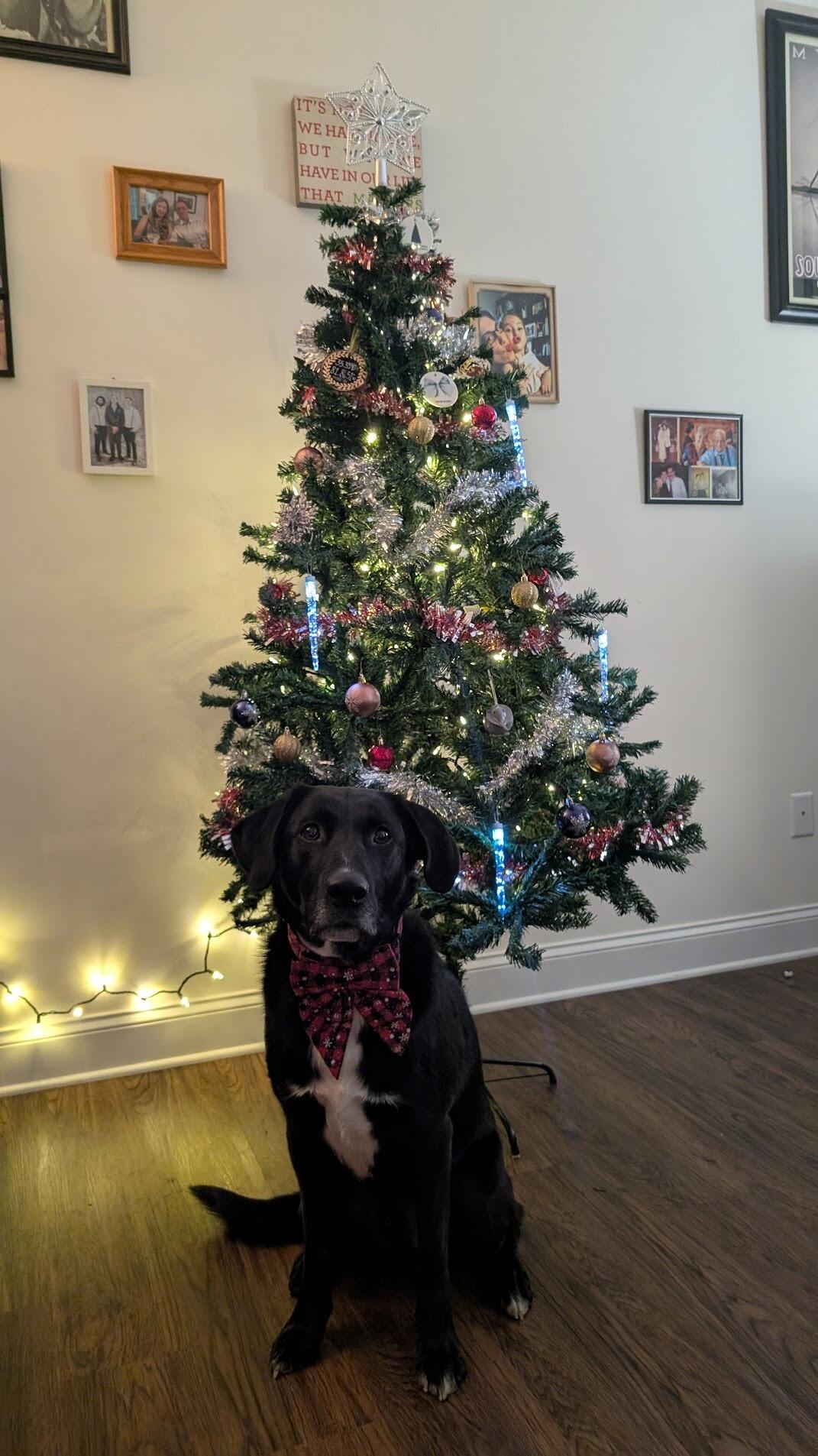 Carl Approves by the way!