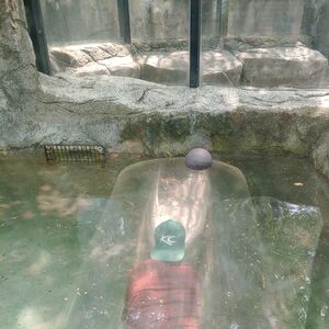 Gallery Photo 24
