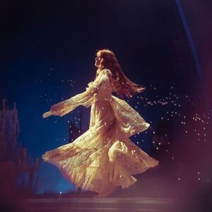 Gallery Photo 9