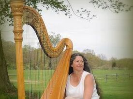 Janet King- Harpist - Harpist - Glen Cove, NY - Hero Gallery 1