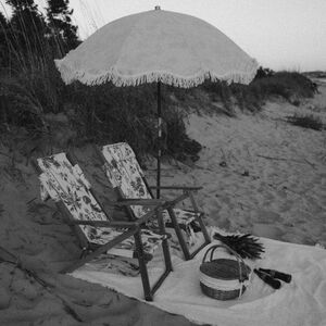 Gallery Photo 56