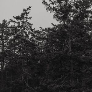 Gallery Photo 14