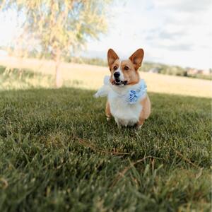 Gallery Photo 20