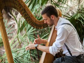 The Coastal Harpist - Harpist - Naples, FL - Hero Gallery 3
