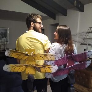 Gallery Photo 2