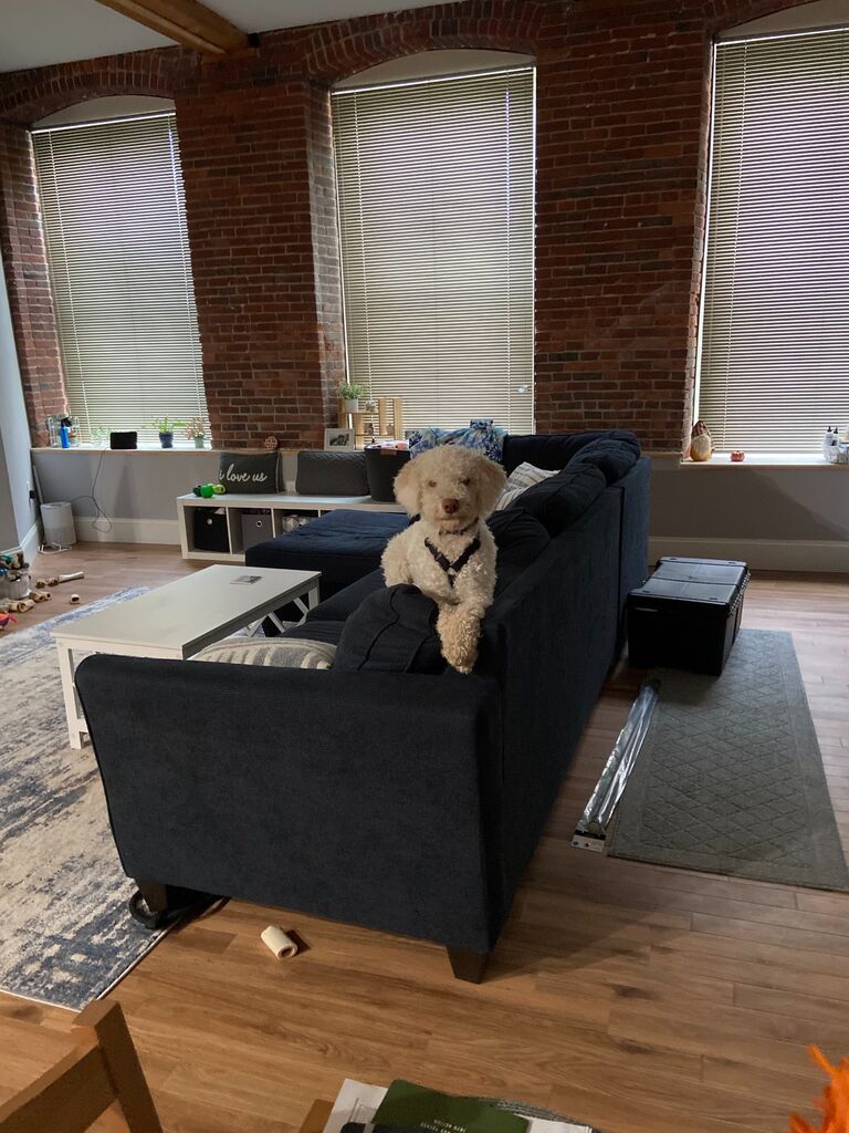 We moved to a new apartment in Allenstown, NH