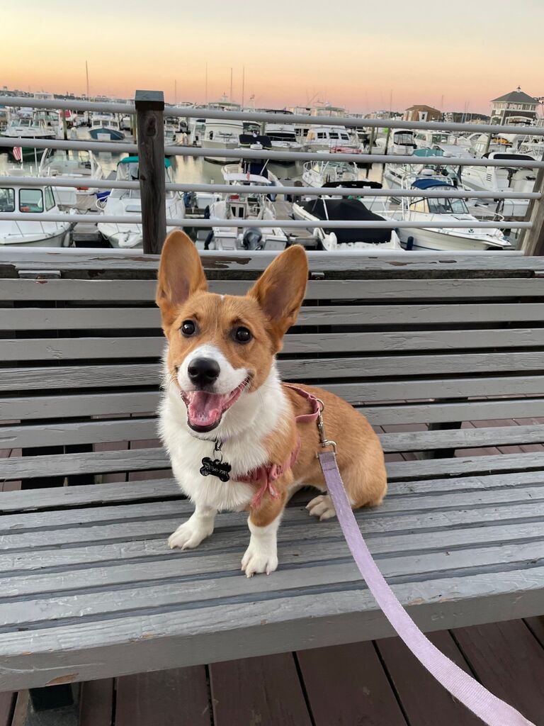 We welcomed Piper home!
