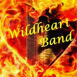 Wildheart Country / Rock Band, profile image