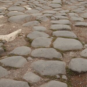Gallery Photo 52