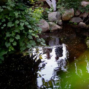 Gallery Photo 37