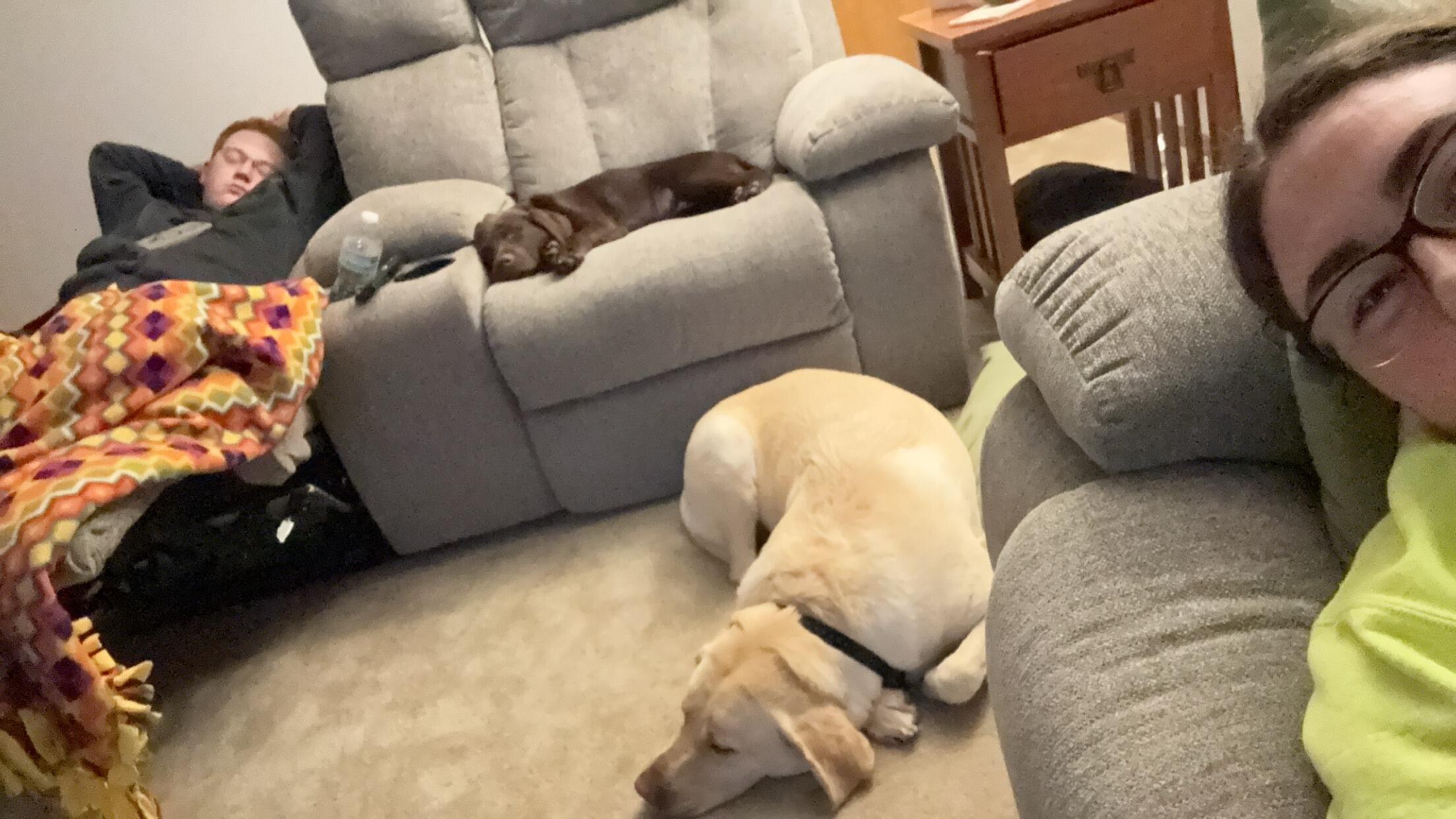 A family of 4! Plus the cat! They were all snoring!