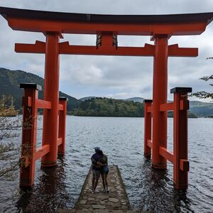 Gallery Photo 51