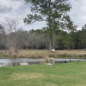 Gallery Photo 7